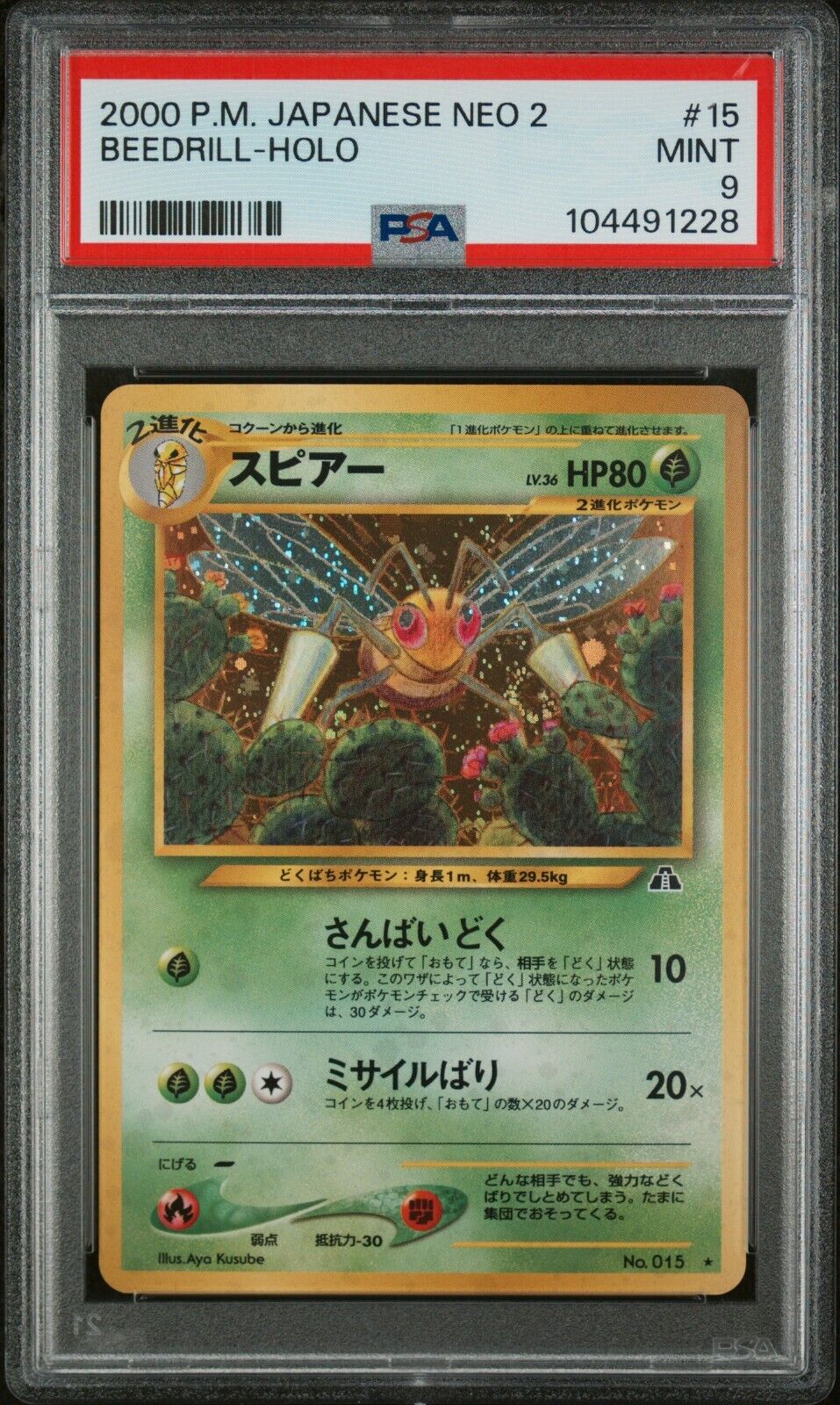 6523244
